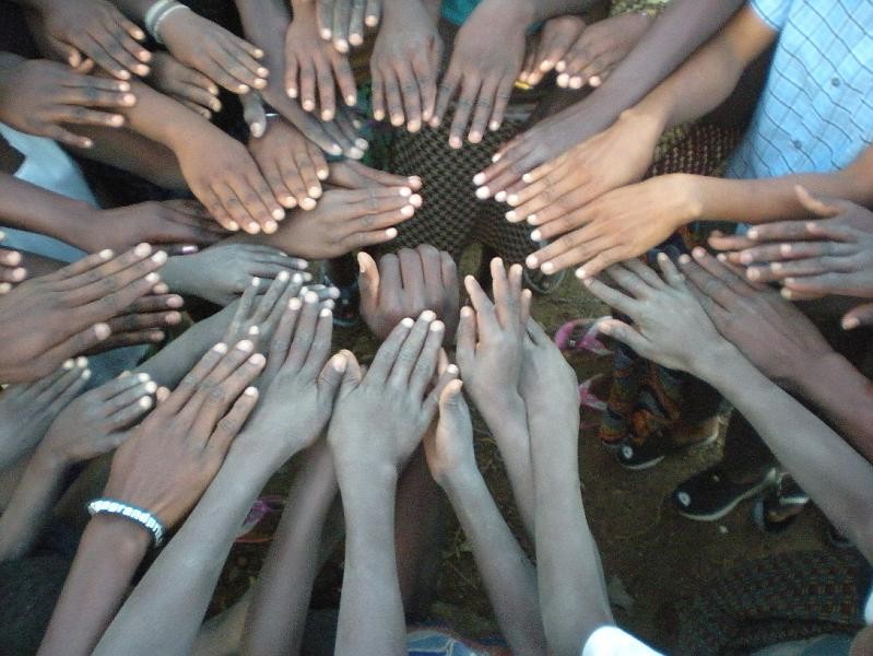 Racines de manioc alignées