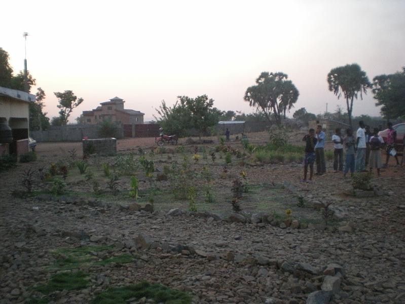 Jardin potager au foyer
