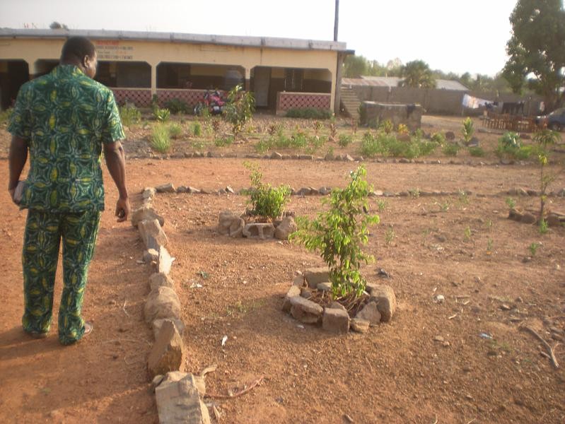 Jardin potager du foyer